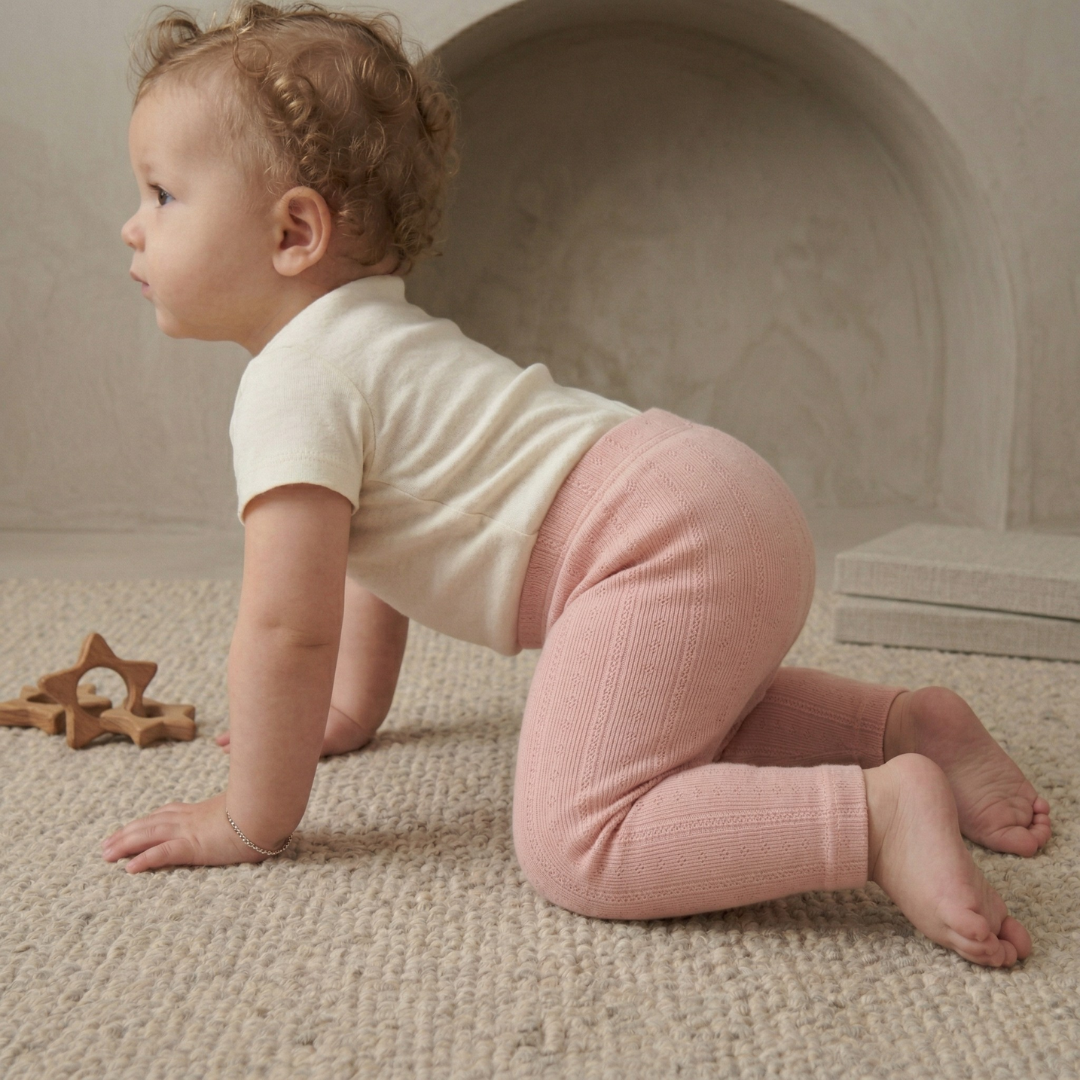 Organic Cotton Pointelle Baby Pants